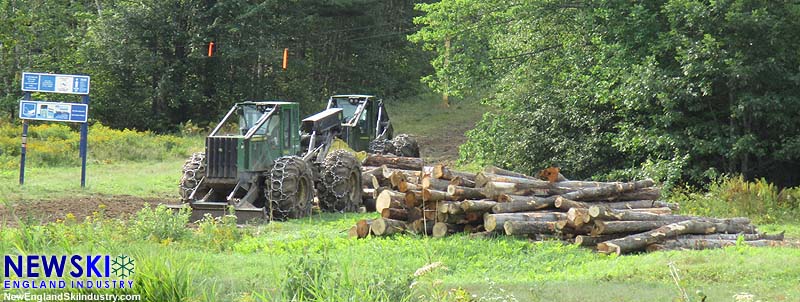 Mt. Abram logging, August 29, 2015
