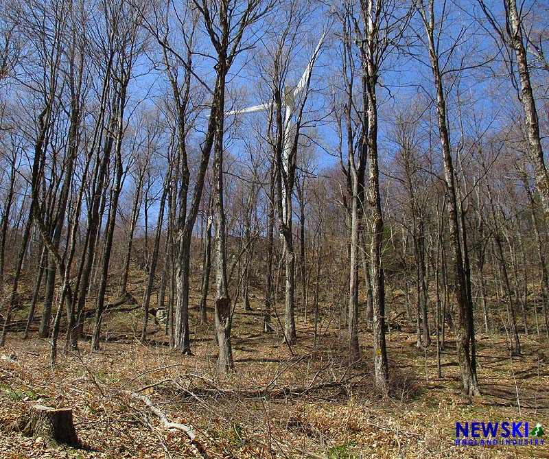 Berkshire East new trail clearing, April 16, 2017