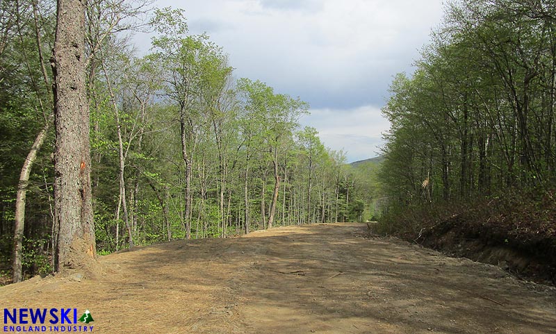 Second Thoughts trail, May 2021