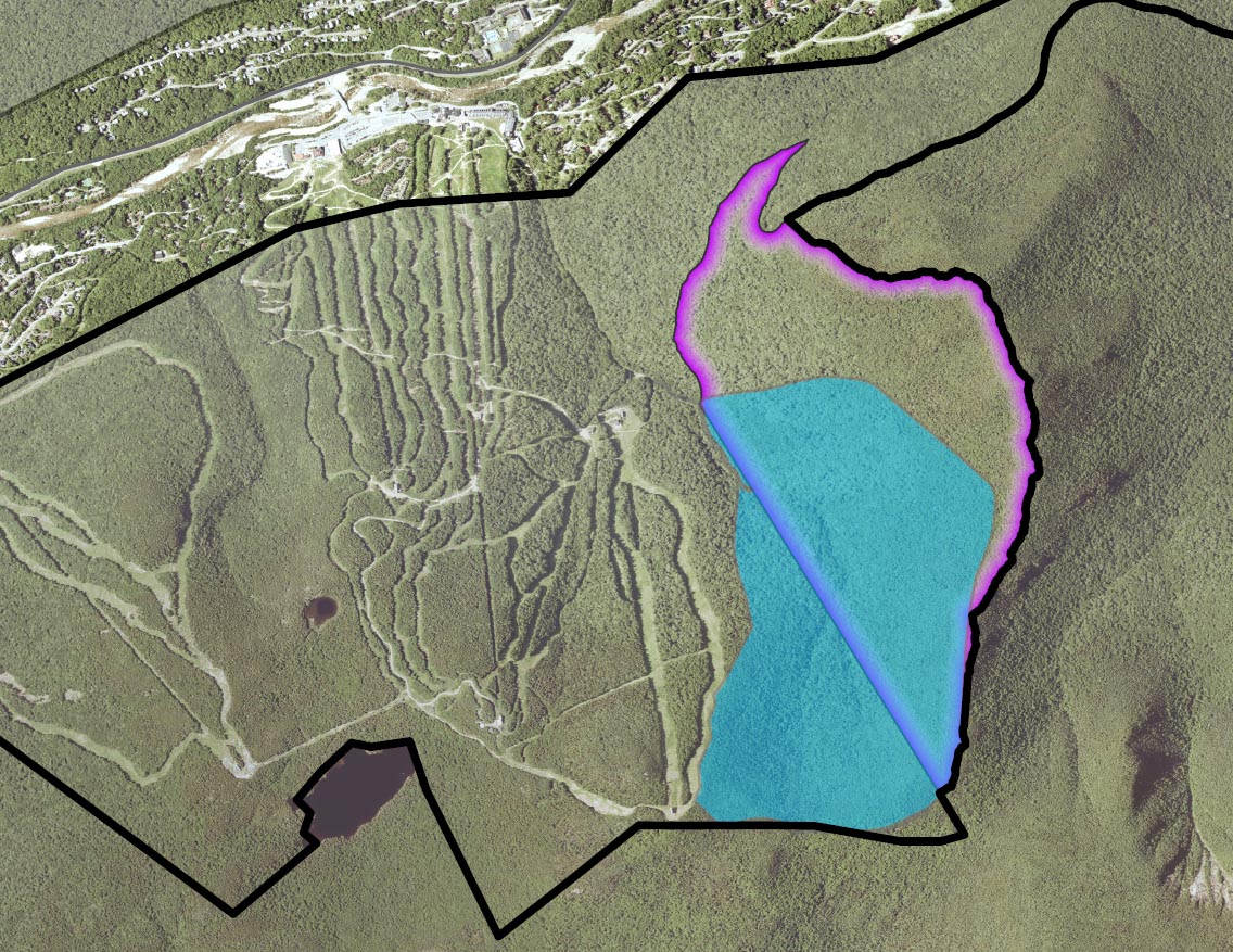 Loon Black Ridge