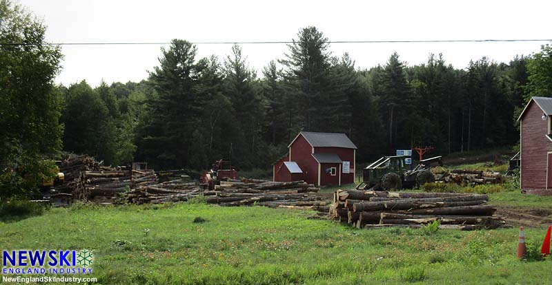 Mt. Abram logging, August 29, 2015