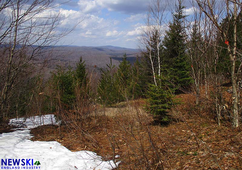 A recently flagged trail at Dutch Hill